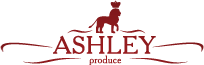 ASHLEY (ЭШЛИ)